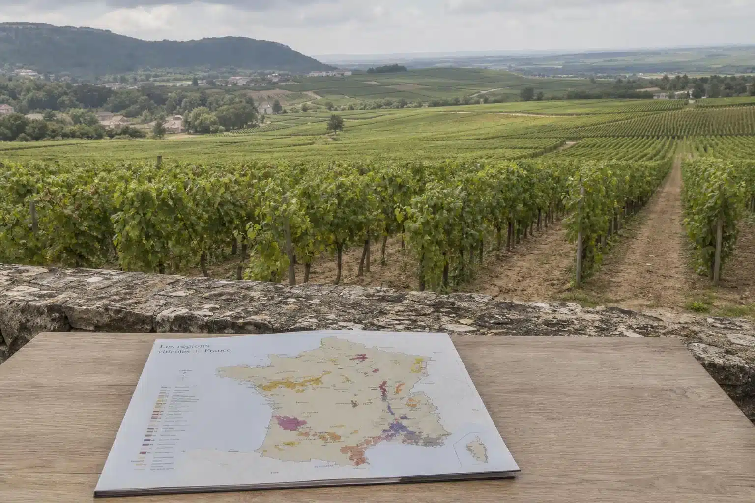 Apprenez les bases de la dégustation de vins en découvrant les principales régions viticoles françaises et leurs cépages caractéristiques pour bien débuter.
